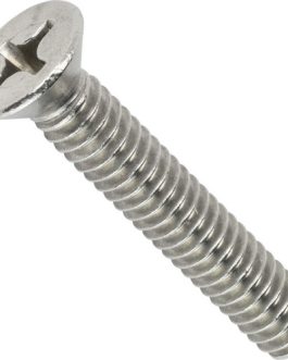 Tornillo Métrico Fresado 3x10mm Por 10 Unid.